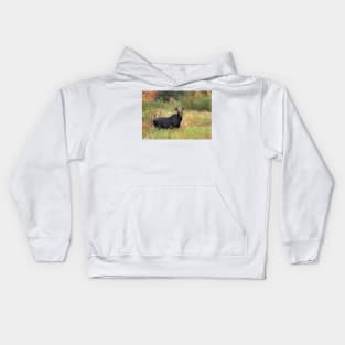 Young Moose - Algonquin Park, Canada Kids Hoodie